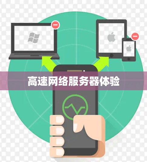 高速网络服务器体验
