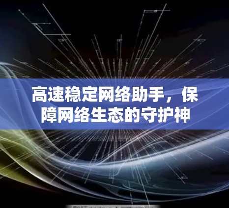 高速稳定网络助手，保障网络生态的守护神