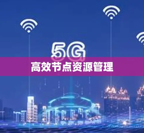 高效节点资源管理