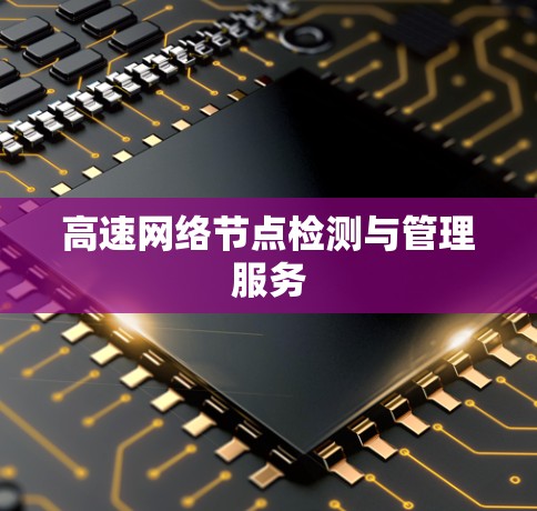高速网络节点检测与管理服务