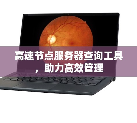 高速节点服务器查询工具，助力高效管理