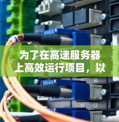 为了在高速服务器上高效运行项目，以下是一个详细的攻略指南