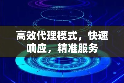 高效代理模式，快速响应，精准服务