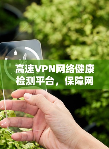 高速VPN网络健康检测平台，保障网络安全的利器