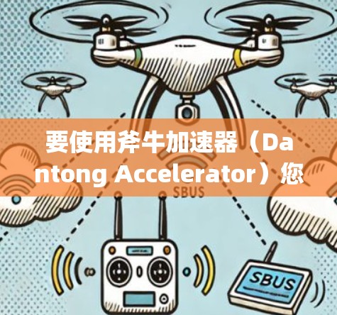 要使用斧牛加速器（Dantong Accelerator）您可以按照以下步骤进行