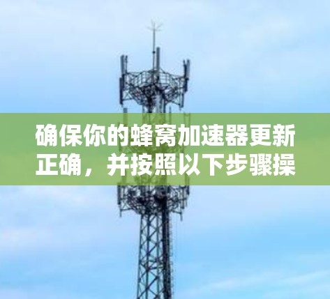 确保你的蜂窝加速器更新正确，并按照以下步骤操作