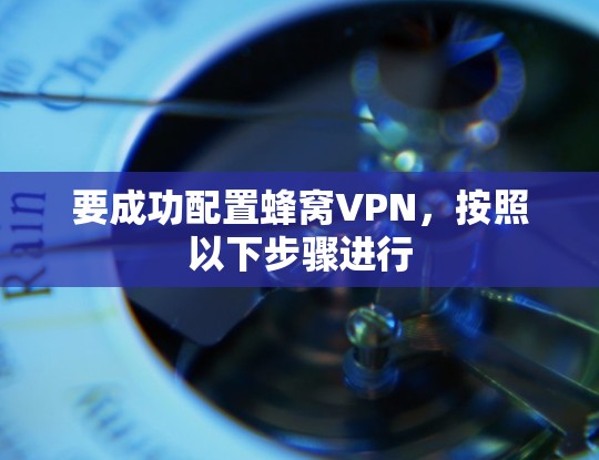 要成功配置蜂窝VPN，按照以下步骤进行