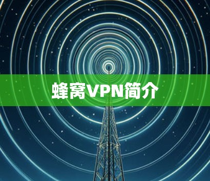 蜂窝VPN简介
