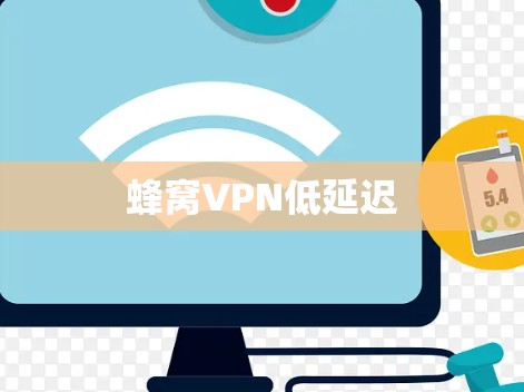 蜂窝VPN低延迟