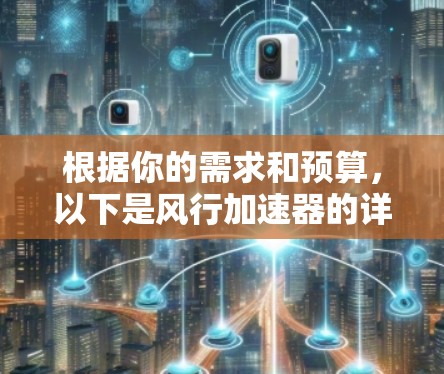 根据你的需求和预算，以下是风行加速器的详细分析和推荐