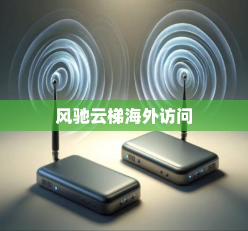 风驰云梯海外访问