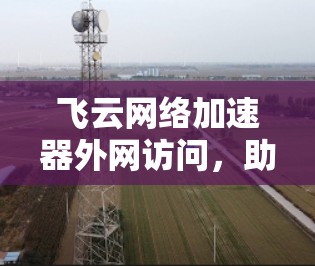 飞云网络加速器外网访问，助力高效网络流量