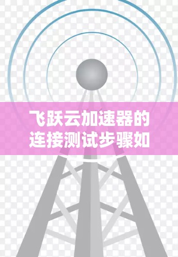 飞跃云加速器的连接测试步骤如下