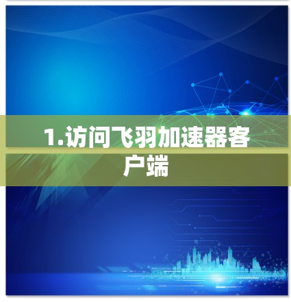 1.访问飞羽加速器客户端