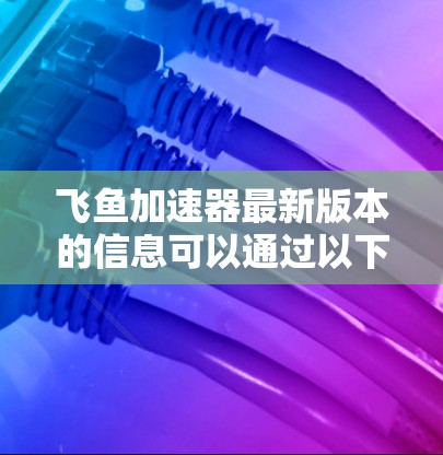 飞鱼加速器最新版本的信息可以通过以下步骤获取