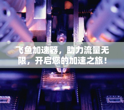 飞鱼加速器，助力流量无限，开启您的加速之旅！