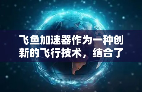 飞鱼加速器作为一种创新的飞行技术，结合了飞行、加速和机械工程，具有广阔的应用前景。以下是对飞鱼加速器的详细分析和总结
