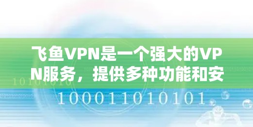 飞鱼VPN是一个强大的VPN服务，提供多种功能和安全措施，帮助用户在远距离上高效且安全地访问网络。以下是其主要功能的详细介绍
