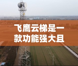 飞鹰云梯是一款功能强大且操作简便的移动办公软件，适合多种场景使用。以下是针对不同用户群体的推荐