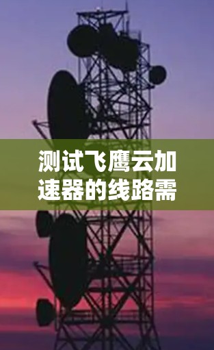 测试飞鹰云加速器的线路需要综合考虑多个因素，以下是一个详细的步骤指南