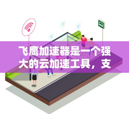 飞鹰加速器是一个强大的云加速工具，支持多种云服务，包括S3、RDS、Elasticsearch、云文件存储等。以下是一些推荐的节点类型，供您参考