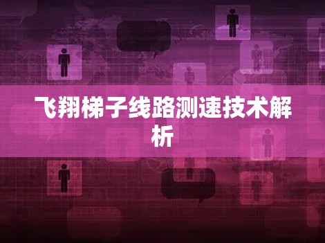 飞翔梯子线路测速技术解析