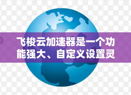 飞梭云加速器是一个功能强大、自定义设置灵活的加速工具，专为用户优化下载和加速速度。以下是其主要特点及使用指南
