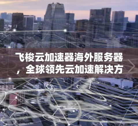 飞梭云加速器海外服务器，全球领先云加速解决方案