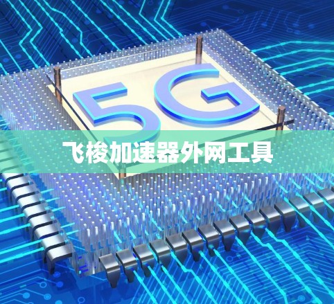 飞梭加速器外网工具