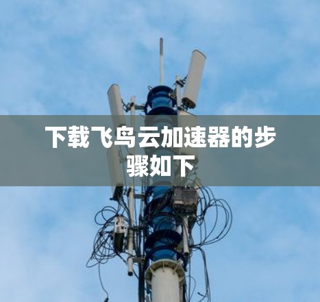 下载飞鸟云加速器的步骤如下