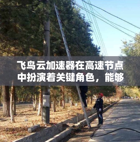 飞鸟云加速器在高速节点中扮演着关键角色，能够显著提升网络性能和数据传输效率。以下是对高速节点及其飞鸟云加速器功能的详细分析