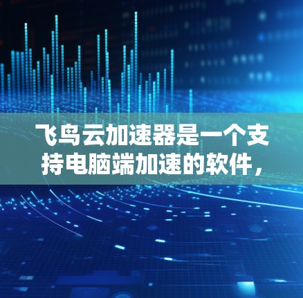 飞鸟云加速器是一个支持电脑端加速的软件，旨在提高电脑的运行效率。以下是对该软件的详细总结