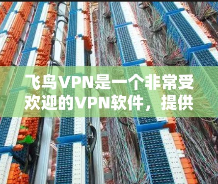 飞鸟VPN是一个非常受欢迎的VPN软件，提供多种加密方式，包括飞鸟8和飞鸟8 Plus。以下是关于飞鸟VPN的最新信息和下载链接