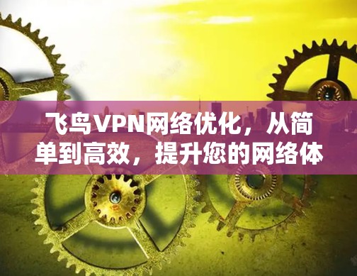飞鸟VPN网络优化，从简单到高效，提升您的网络体验