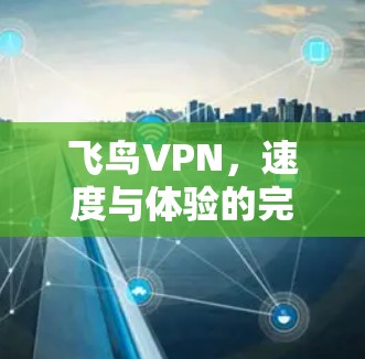 飞鸟VPN，速度与体验的完美结合