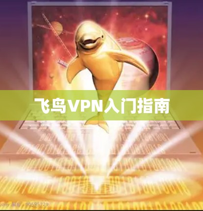 飞鸟VPN入门指南