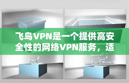 飞鸟VPN是一个提供高安全性的网络VPN服务，适合需要加密连接的用户。以下是一个详细的使用步骤指南
