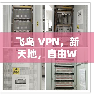 飞鸟 VPN，新天地，自由WiFi
