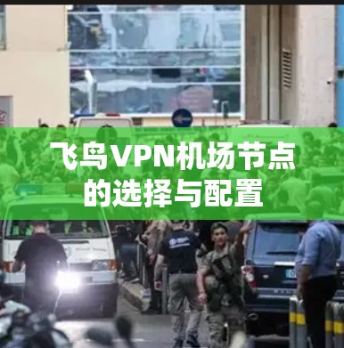 飞鸟VPN机场节点的选择与配置