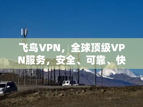 飞鸟VPN，全球顶级VPN服务，安全、可靠、快速，为您的数据保驾护航！