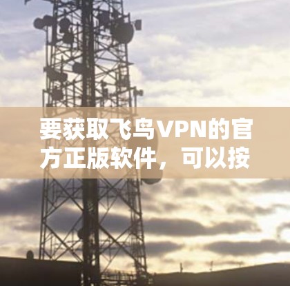 要获取飞鸟VPN的官方正版软件，可以按照以下步骤进行