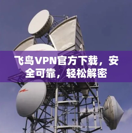 飞鸟VPN官方下载，安全可靠，轻松解密