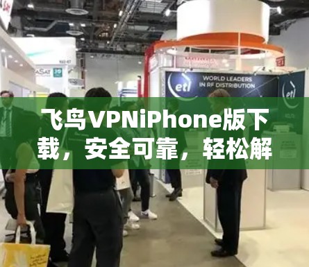 飞鸟VPNiPhone版下载，安全可靠，轻松解密