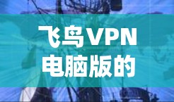 飞鸟VPN电脑版的使用步骤如下