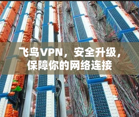 飞鸟VPN，安全升级，保障你的网络连接