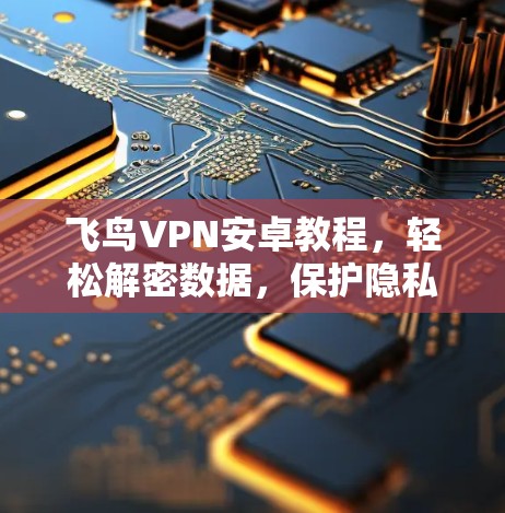 飞鸟VPN安卓教程，轻松解密数据，保护隐私