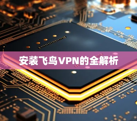 安装飞鸟VPN的全解析