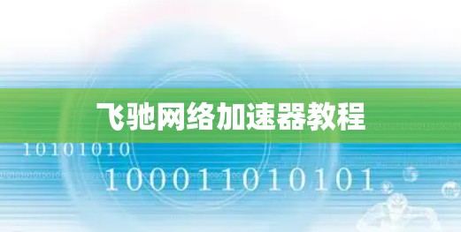 飞驰网络加速器教程