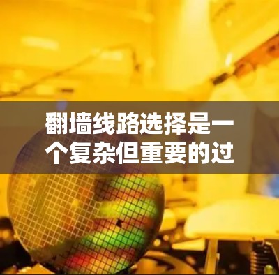 翻墙线路选择是一个复杂但重要的过程，旨在优化用户体验和资源管理。以下是对翻墙线路选择的详细分析和推荐