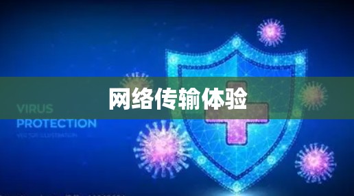 网络传输体验
